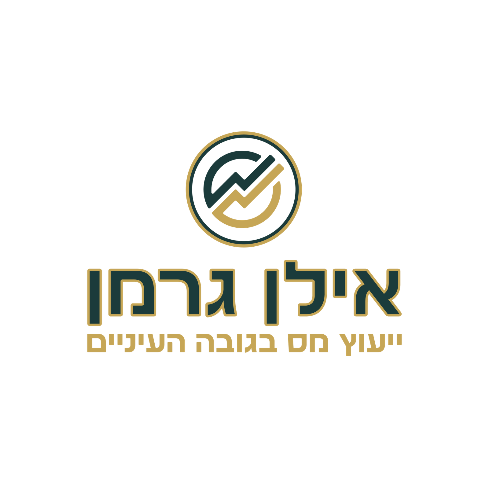 אילן גרמן, מנהל חשבונות, יועץ מס מוסמך